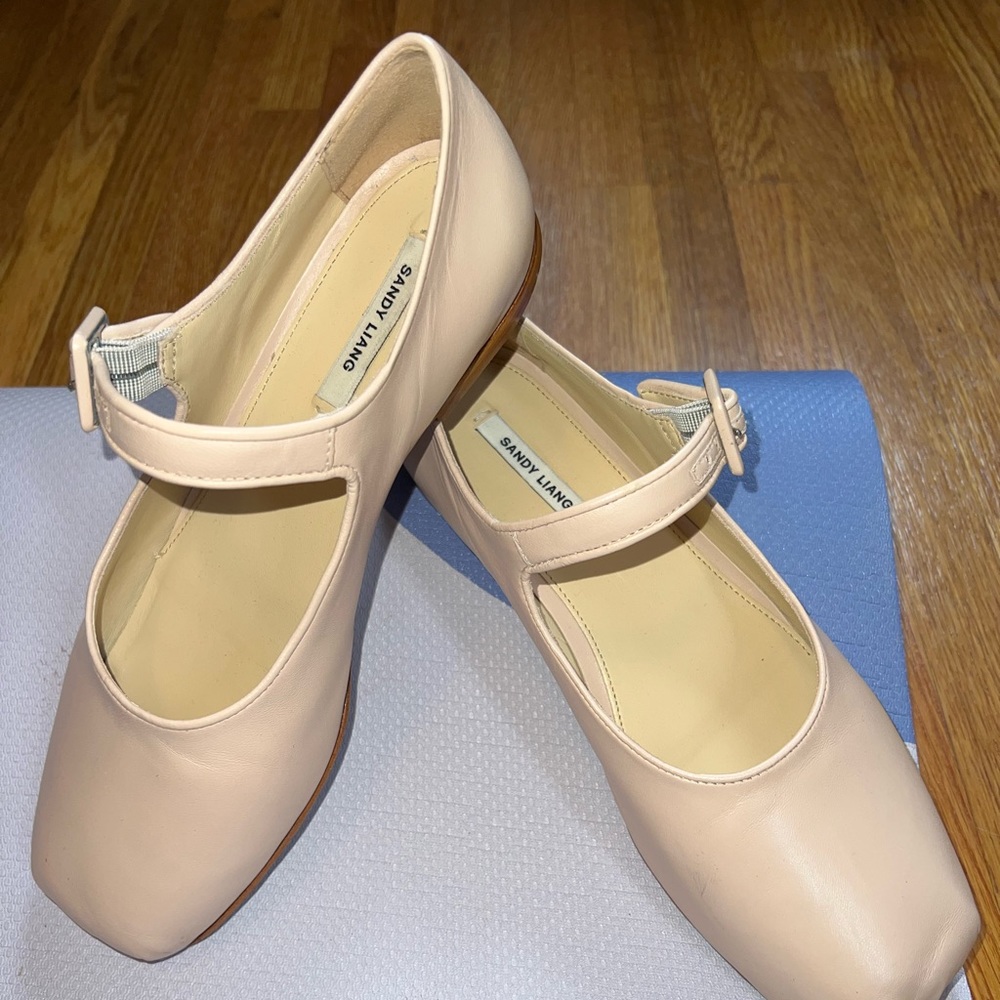 Sandy Liang Pink Leather MARY JANE POINTE IN BALLET NAPPA